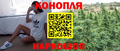 Альфа ПВП Пушкино