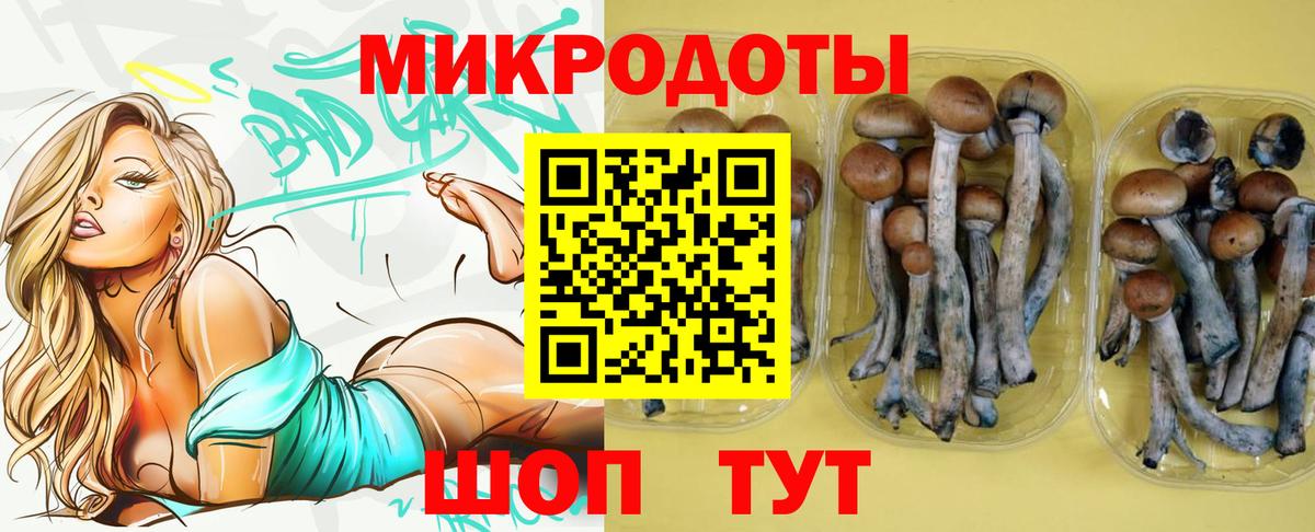 Галлюциногенные грибы Cubensis  Псилоцибиновые грибы ЛСД  Вход с VPN  Малгобек 